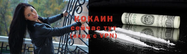 сатива Карталы