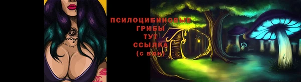 трава Киренск