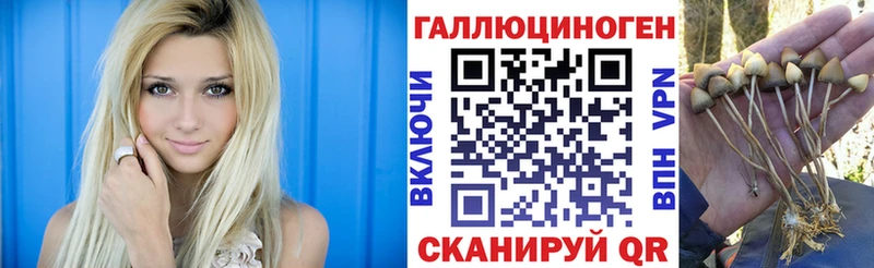 Галлюциногенные грибы мухоморы Дубна