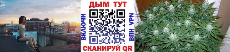 Канабис SATIVA & INDICA  Купить закладки  Дубна 
